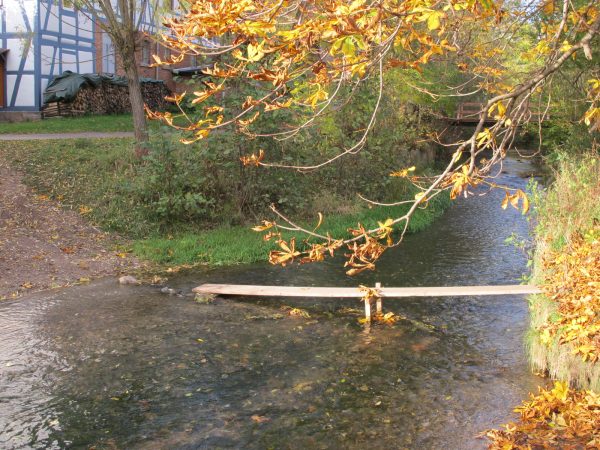 Diemarden Garte am Mühlendamm