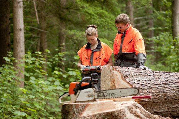 Niedersächsisches Forstamt Reinhausen Azubis