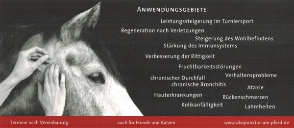 Diemarden Tierarzt Infos