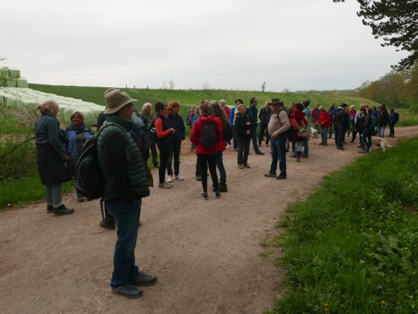 Maiwanderung Diemarden 2022