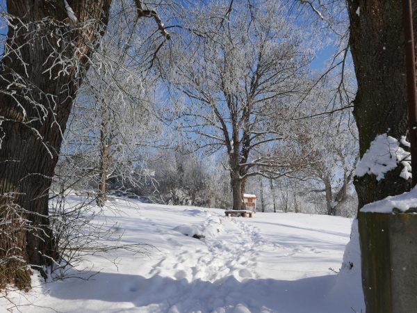 Diemarden_Alter-Friedhof_Feb-2021