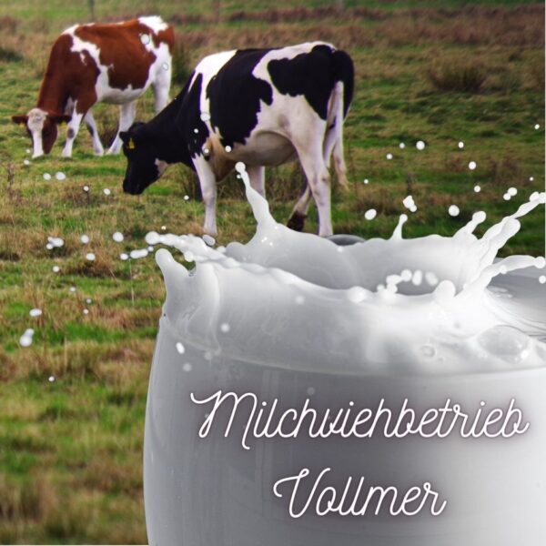 Der moderne Milchviehbetrieb Vollmer - Richard Vollmer 